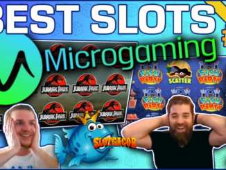 Keunggulan Dan Fitur Utama Dari Slot Online Micro Gaming
